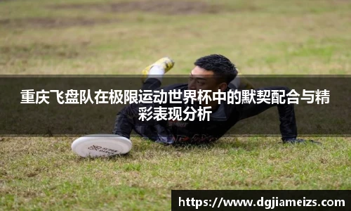zoty中欧